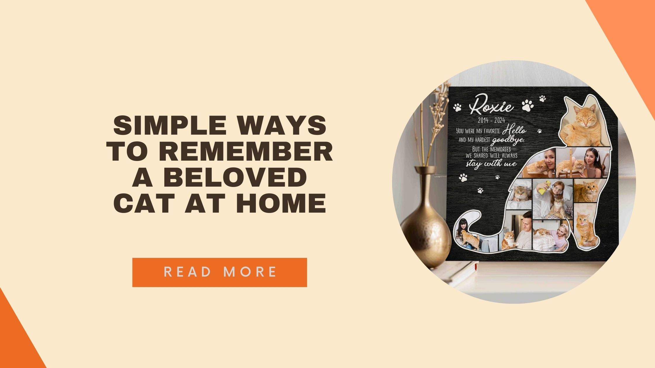 Simple Ways to Remember a Beloved Cat at Home